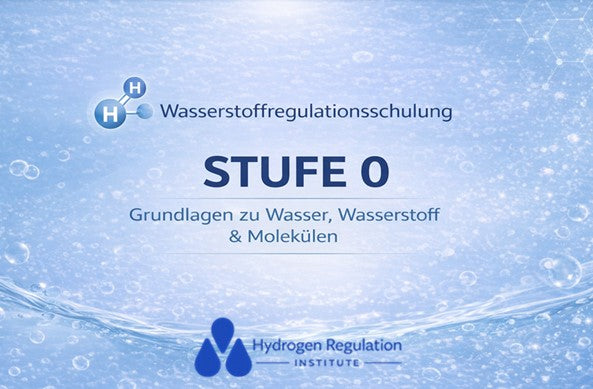 Ausbildung Wasserstoff Schulung Stufe 0