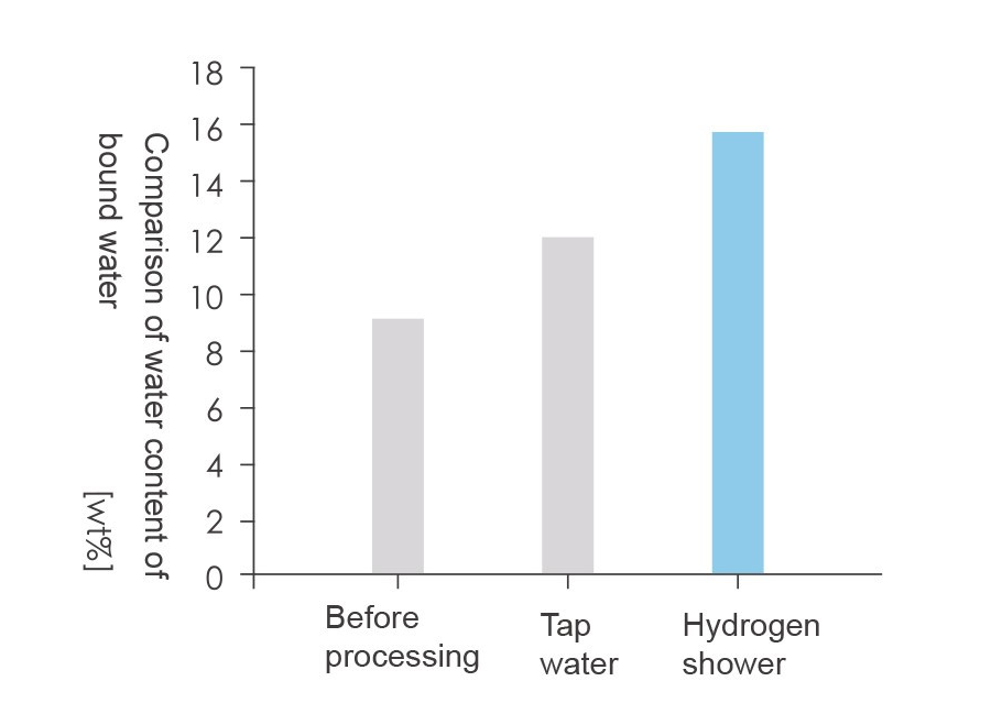 Hydro Shower – H₂ Duschkopf für Haut & Haar