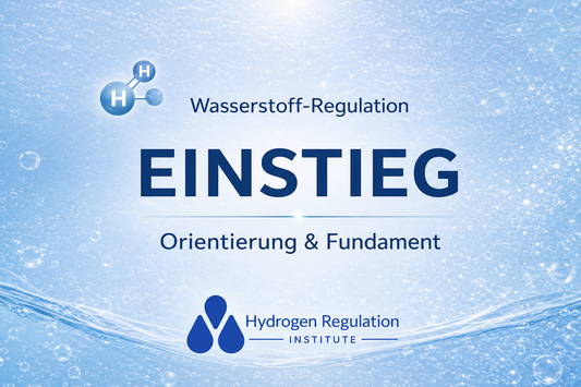 Schulung Stufe 1 - Einstieg in die Wasserstoffregulation